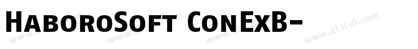 HaboroSoft ConExB字体转换